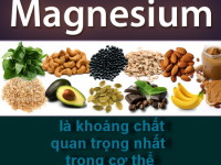Magnesium (magiê) là khoáng chất quan trọng nhất  trong cơ thể