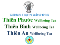 Giới thiệu 3 loại trà: THIÊN PHƯỚC Wellbeing Tea, THIÊN BÌNH wt, THIÊN AN wt
